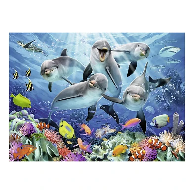 Delfine im Korallenriff, 500 Stück.