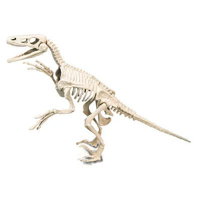 Clementoni Wetenschap & Spel Archeospel - Velociraptor