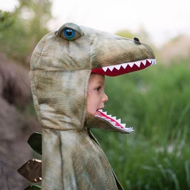 Verkleidungsset Dinosaurier T-Rex mit Krallen, 4-6 Jahre