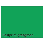 Kopierpapier Fastprint A4 160gr grasgrün 50 Blatt