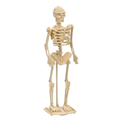 Holzbausatz - Skelett