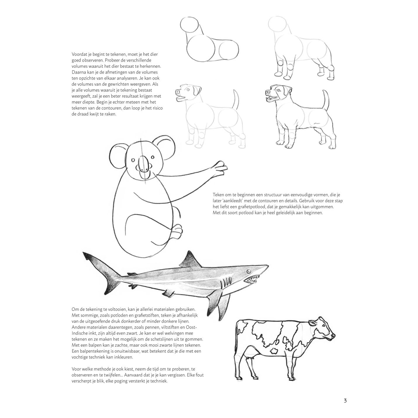 Lernen Sie Schritt für Schritt, Tiere zu zeichnen