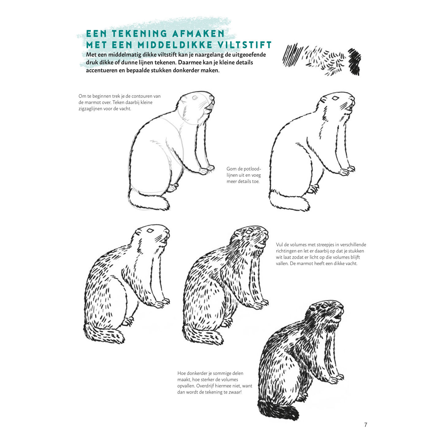 Lernen Sie Schritt für Schritt, Tiere zu zeichnen