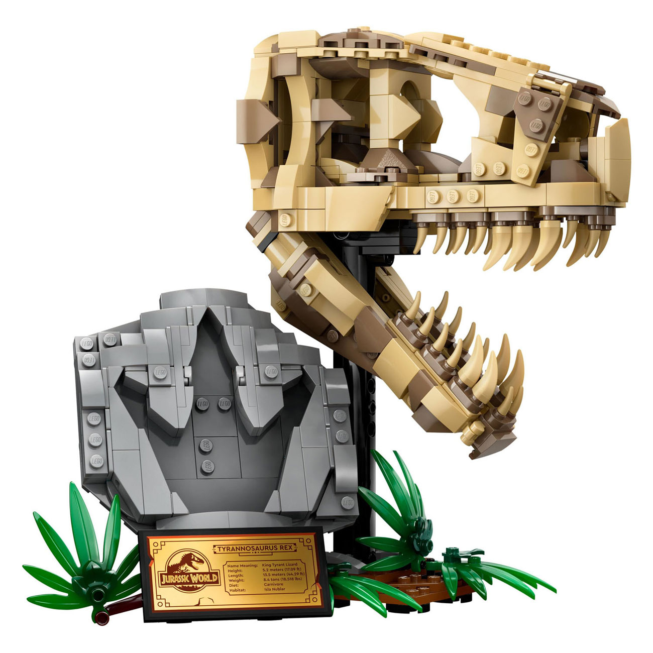 LEGO Jurassic World 76964 Dinosaurusfossielen: T-Rex Schedel