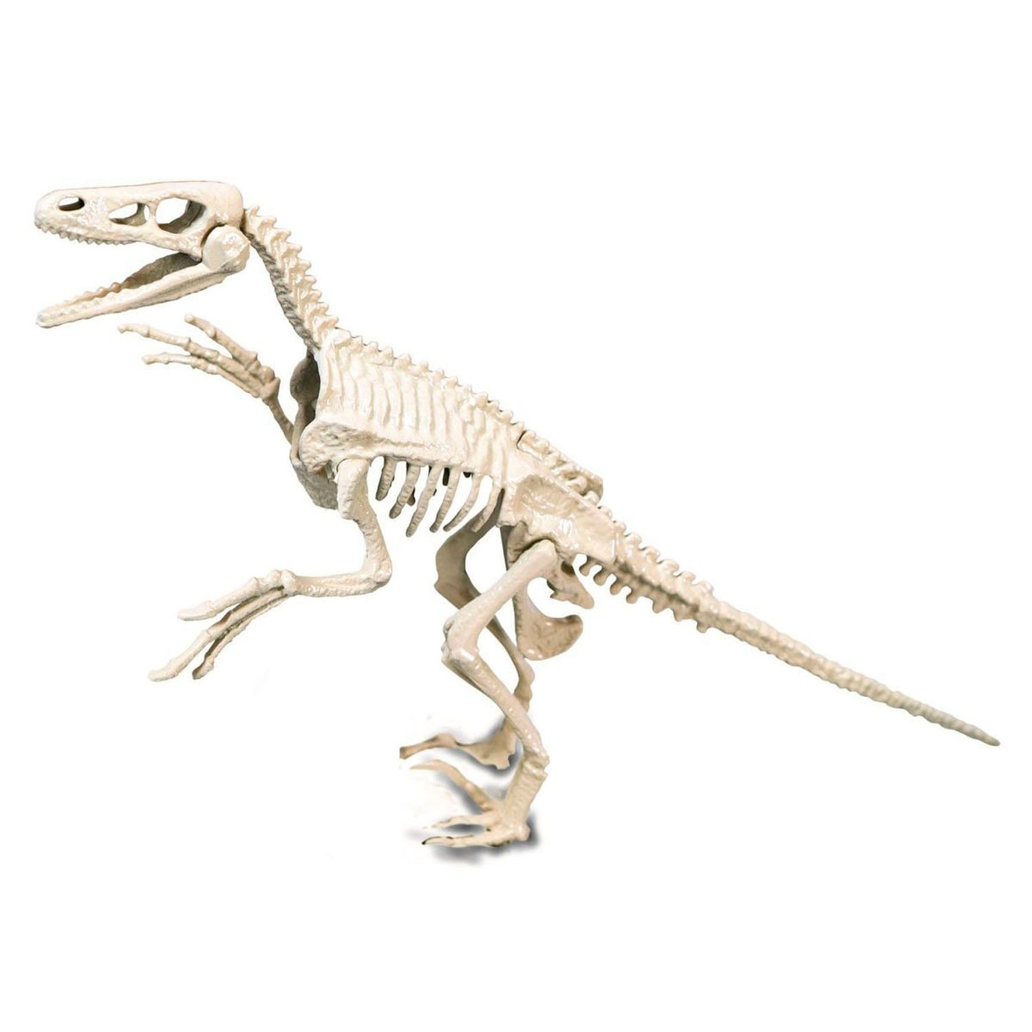 Clementoni Science & Games Archeo-Spiel – Velociraptor