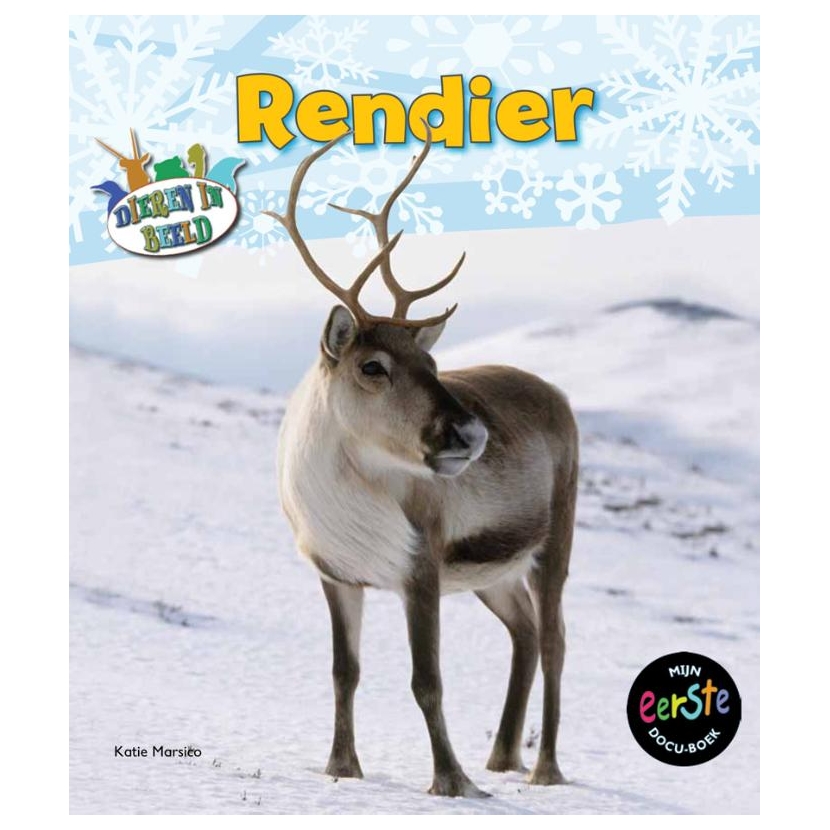 Dieren in Beeld - Rendier