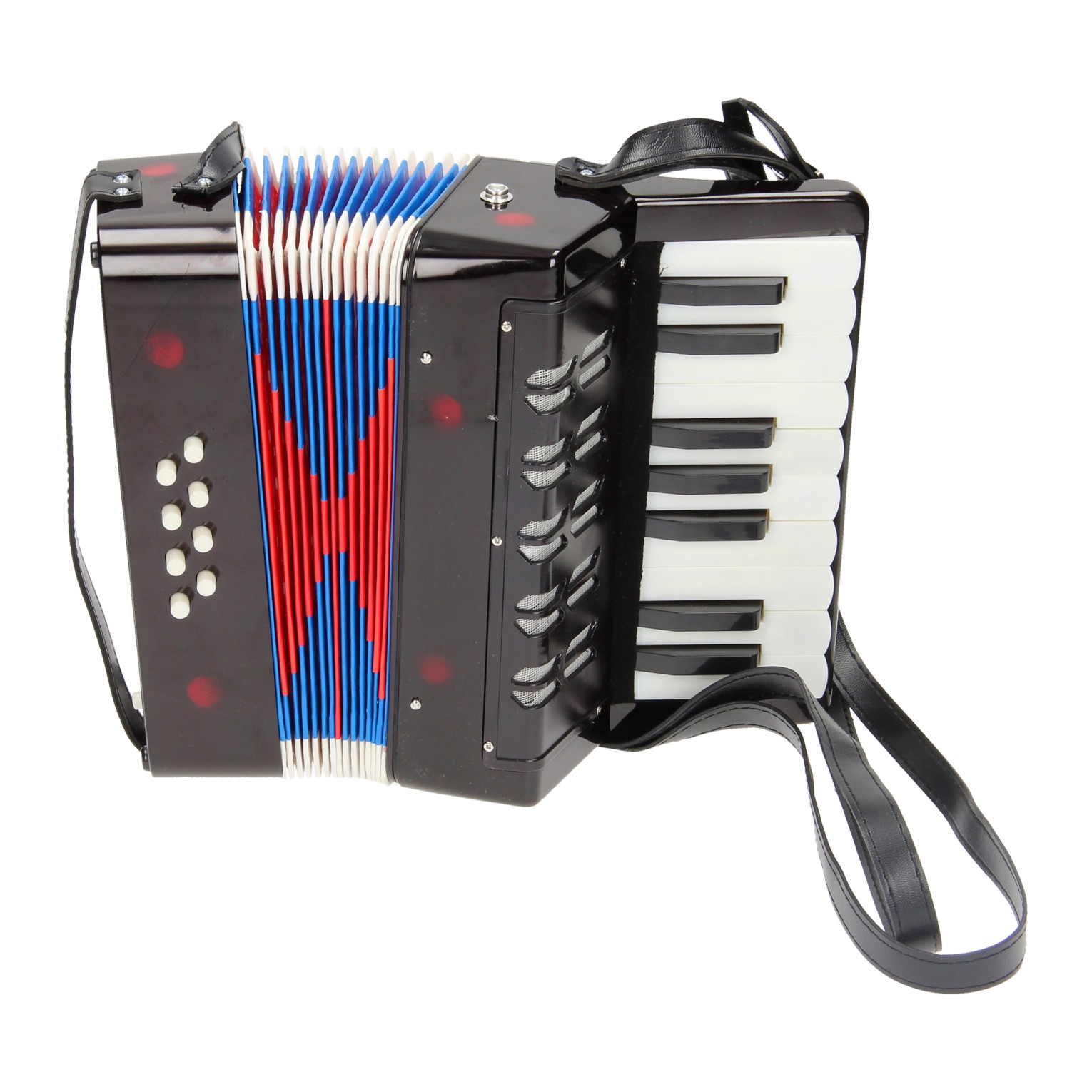 Accordeon met Draagriem