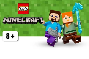 Afbeelding voor  LEGO Minecraft