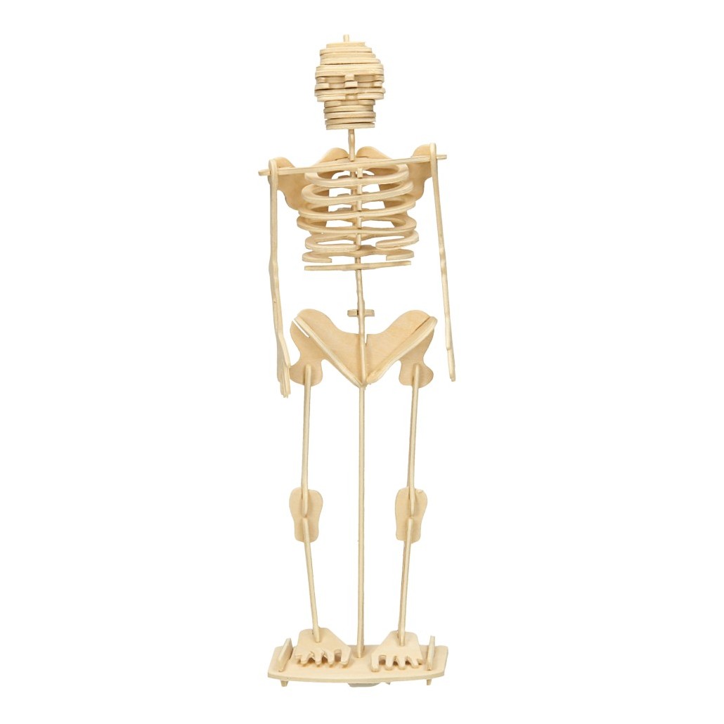 Petulance Krachtcel verbannen Houten Bouwpakket - Skelet online kopen? | Lobbes Speelgoed