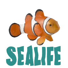 Mojo Sealife