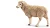 Animaux de la ferme