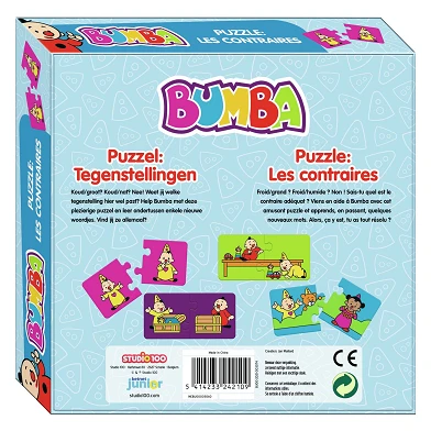 Bumba Puzzle 10in1