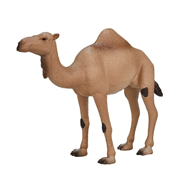 Mojo Wildlife Arabisches Kamel - 387113