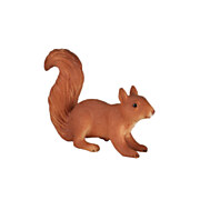 Laufendes Eichhörnchen von Mojo Wildlife - 387032