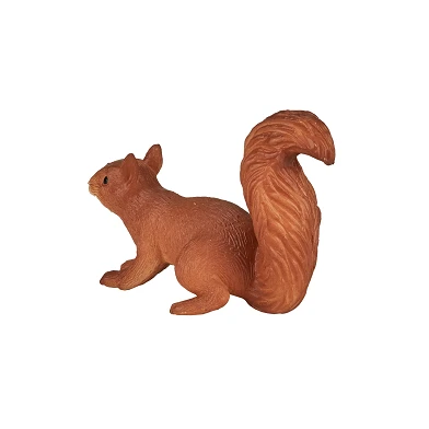 Laufendes Eichhörnchen von Mojo Wildlife - 387032