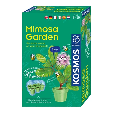 Cultiver des plantes Kosmos Mimosa