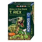 Cosmos Glow in the Dark T-Rex-Bikken