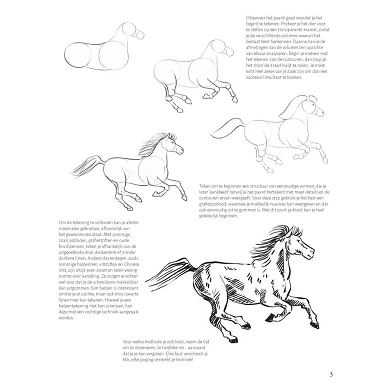 Apprenez à dessiner des chevaux étape par étape