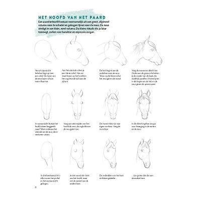 Lernen Sie Schritt für Schritt, Pferde zu zeichnen