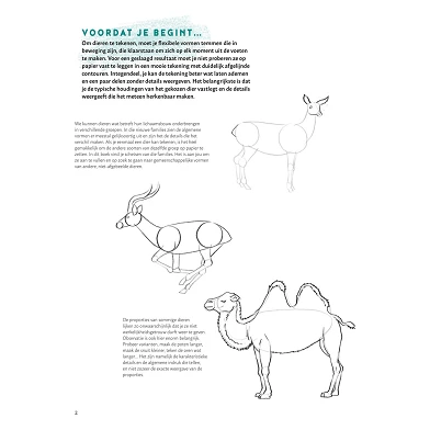 Schritt für Schritt lernen, Tiere zu zeichnen