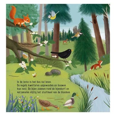 Mon premier livre de recherche - Animaux dans la forêt