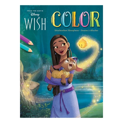 Bloc de couleur Disney Color Wish