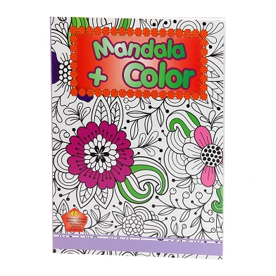 Mandala + Color