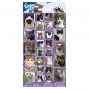Sticker Sheet Cats