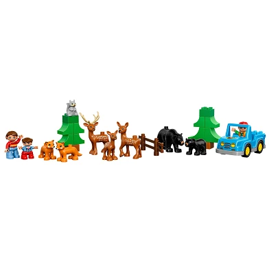 LEGO DUPLO 10584 Het Grote Bos