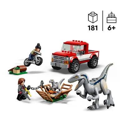 LEGO Jurassic 76946 Blue & Beta Velocirapor