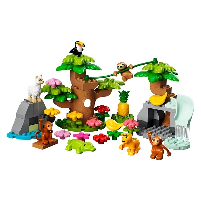LEGO DUPLO 10973 Wilde Dieren uit Zuid Amerika