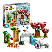 LEGO Duplo 10974 Wilde Tiere aus Asien