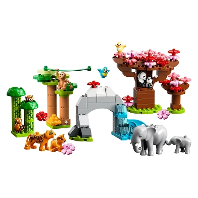 LEGO Duplo 10974 Wilde Tiere aus Asien