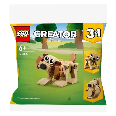 LEGO Creator 30666 Animaux cadeaux