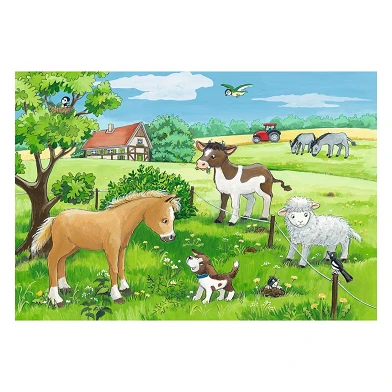 Jeunes animaux à la campagne, 2x12pcs.