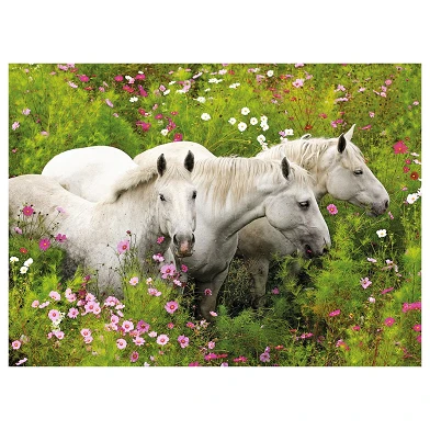 Paarden in veld van Bloemen, 300st.