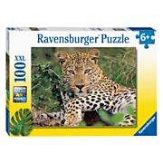 Ravensburger Puzzle Leopard, 100 Teile XXL
