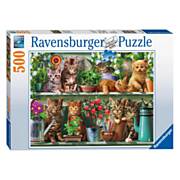 Ravensburger Puzzle Kätzchen im Rack, 500 Teile.