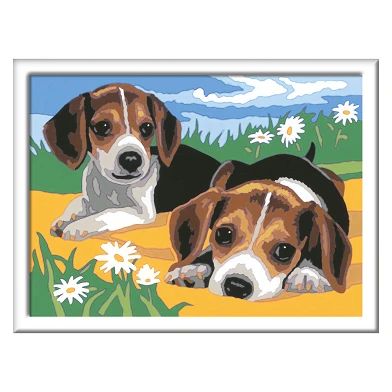 CreArt Malen nach Zahlen – Beagle-Welpen