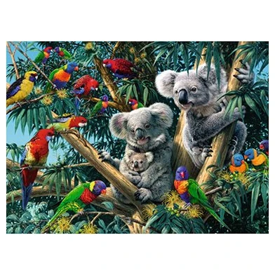 Koalas im Baum, 500St.