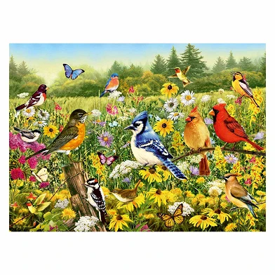 Puzzle „Vögel auf der Wiese“, 500 Teile.