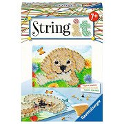 String it - Honden
