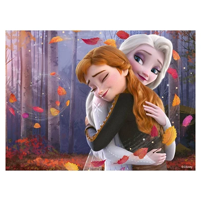 Disney Frozen Liebe und Freundschaft, 4in1
