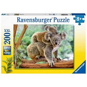 Familie Koala, 200st. XXL