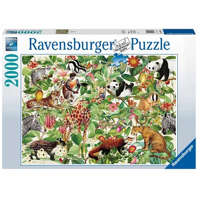 Puzzle-Dschungel, 2000.