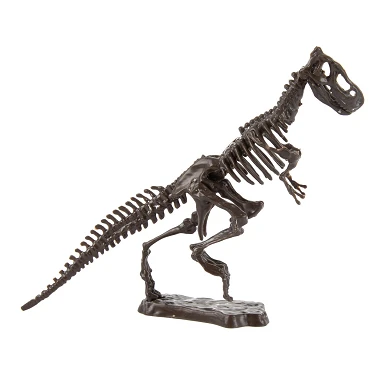 World of Dinosaurs Ausgrabungsset „Dino-Fossil“