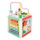 Fisher Price Activiteiten Kubus Hout