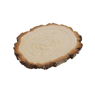 Écorce d'arbre Bois de bouleau, Ø 13-15cm