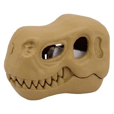 Crâne de dinosaure avec ensemble de sculpture fossile