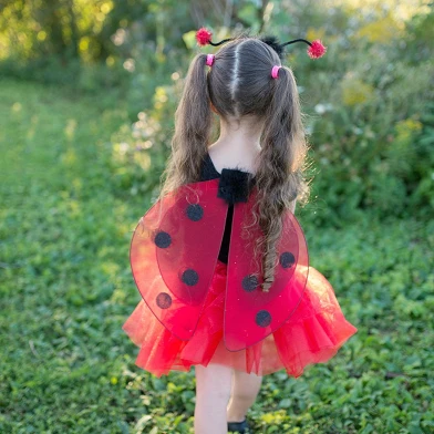 Ensemble de déguisement Ladybug Glitter, 4-6 ans